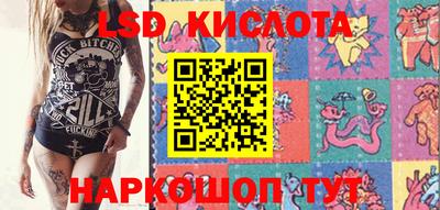 стаф Берёзовский
