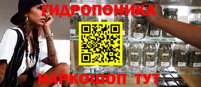 стаф Берёзовский