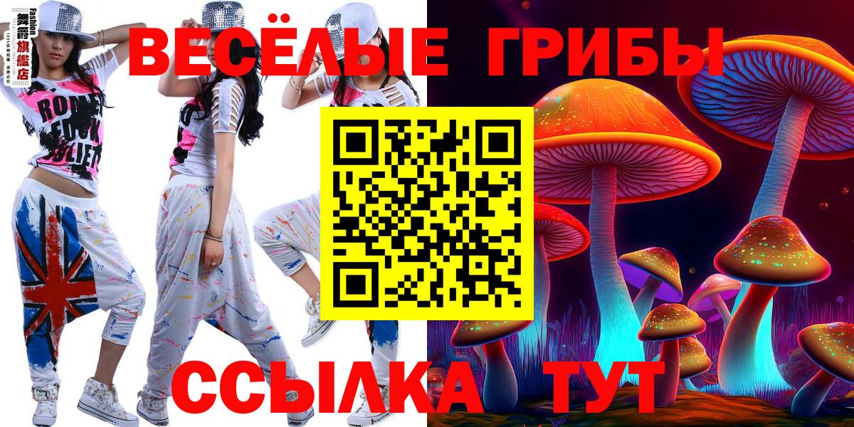 Галлюциногенные грибы прущие грибы Касимов