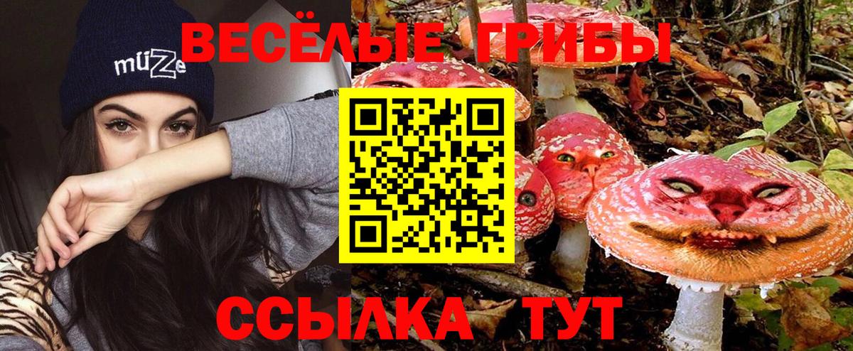 закладки  Вход с VPN  Касимов  Галлюциногенные грибы Magic Shrooms 
